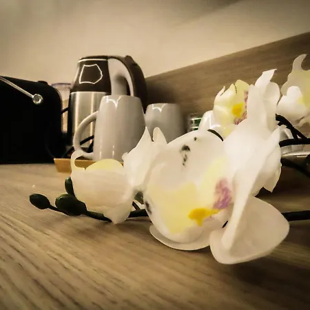 My Maison 70 Penzion 4*